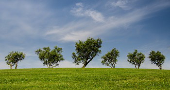 Зелене инвестиције и одрживи развој – Пример Кине