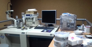 Проф. др Драгослава Стојиљковић – Изврсност у науци као импертив