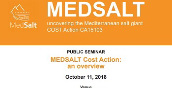 Семинар MEDSALT Cost Action: an overview