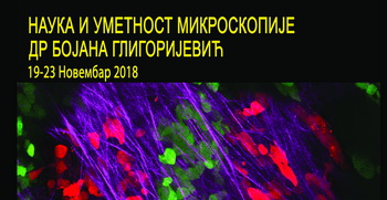 Гост МФ: доц. др Бојана Глигоријевић, Bioengineering Department, Temple University