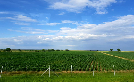 Истраживачи МФ развили нову методологију за испитивање биомасе